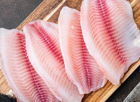 خرید ماهی جنوب بدون استخوان + قیمت فروش استثنایی